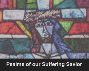 Screen Shot 2019-12-29 at 9.04.46 PM